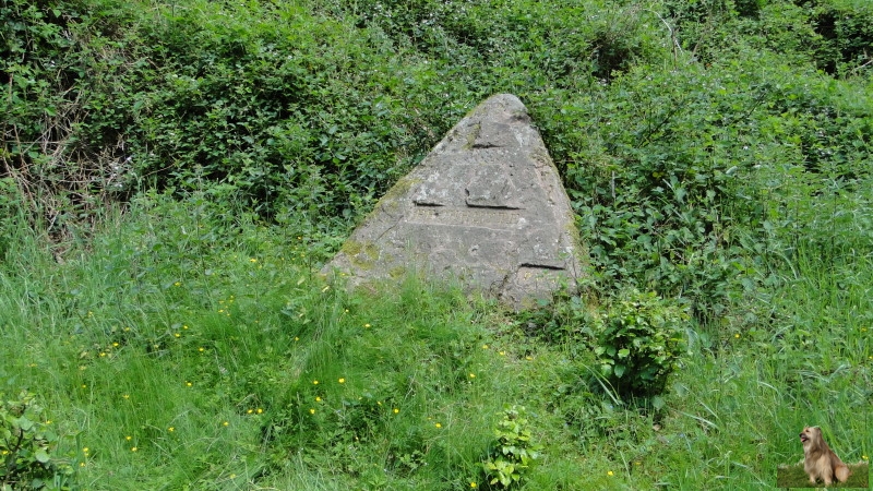 Ritterstein Nr. 149-3 Pechhütte.JPG - Ritterstein Nr.149  Pechhütte                                